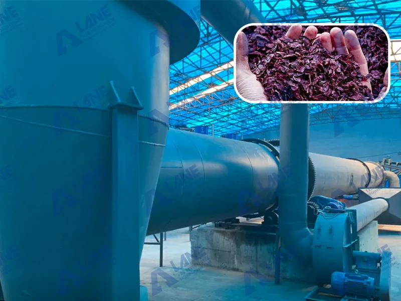 Winery Waste Organic Fertilizer Production Line for French clients has successfully launched!